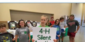 4-H silent auction