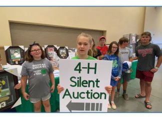 4-H silent auction