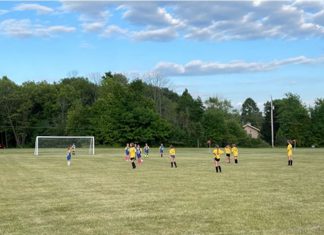 VIDEO | Meticulous fields for Germantown Soccer Club | By Eleanora Markwald Germantown Soccer field