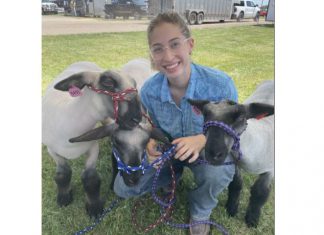 Prepping sheep for the Washington County Fair | By Abigail Drewitz fair