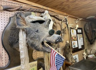 VIDEO | Shelby Forest General Store from 1934