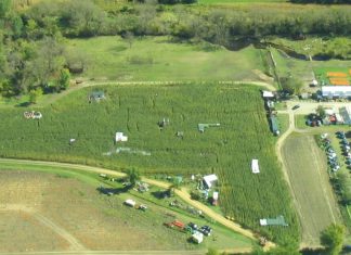 Jobs, jobs, jobs at Meadowbrook Pumpkin Farm, 2970 Mile View Road, in West Bend Meadowbrook Pumpkin farm