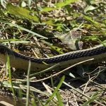 97E4BBA6-08A2-4895-AE1B-7F9E2DA1BC1E