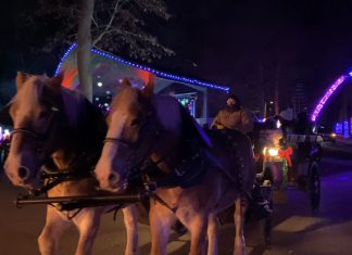 VIDEO | Enchantment in the Park is tonight at Regner Park Enchantment horse