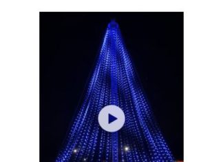 VIDEO | Test run for 60-foot RGB tree at Enchantment in the Park | Courtesy Dylan Moore