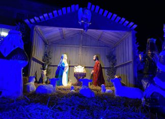 nativity
