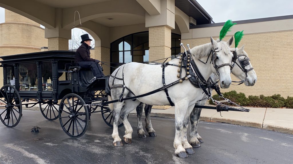 horse hearse