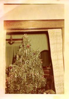 Bohn family christmas tree