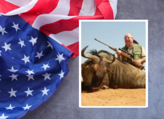 Obituary | Richard H. “Dick” Knapp, 82, of Jackson (formerly Menomonee Falls), WI