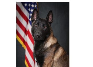 Washington County seeing noticeable increase in drug trafficking | By Sheriff Martin R. Schulteis