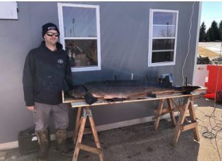 Day 9 of sturgeon spearing yields slow harvest day | By Wisconsin DNR