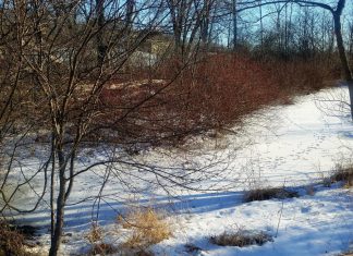A farm boy in West Bend, WI finds solitude in nature during WWII | By Dave Bohn