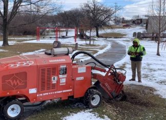 Stump grinding