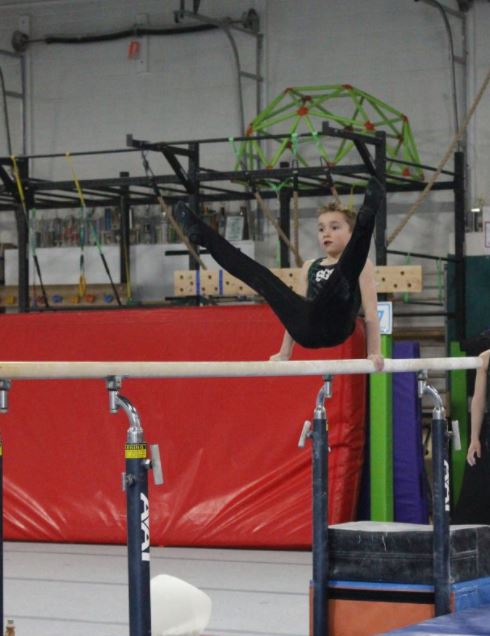 Asher parallel bars