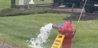 hydrant flush