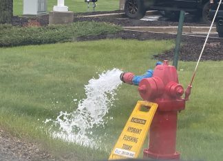 hydrant flush