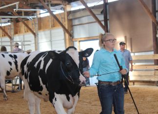 Inquiring minds want to know….what is 4-H and why is it important? | By Ella Walecki