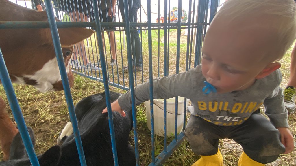 Breakfast on the Farm