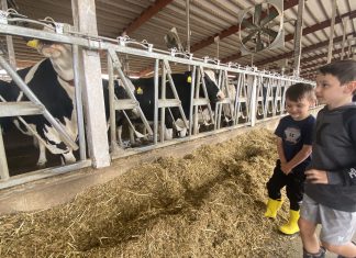 Breakfast on the Farm