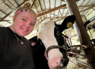 A little weight gain this summer – betcha can’t match my steer Bo | By Ella Walecki – Boltonville Firecrackers 4-H Bo