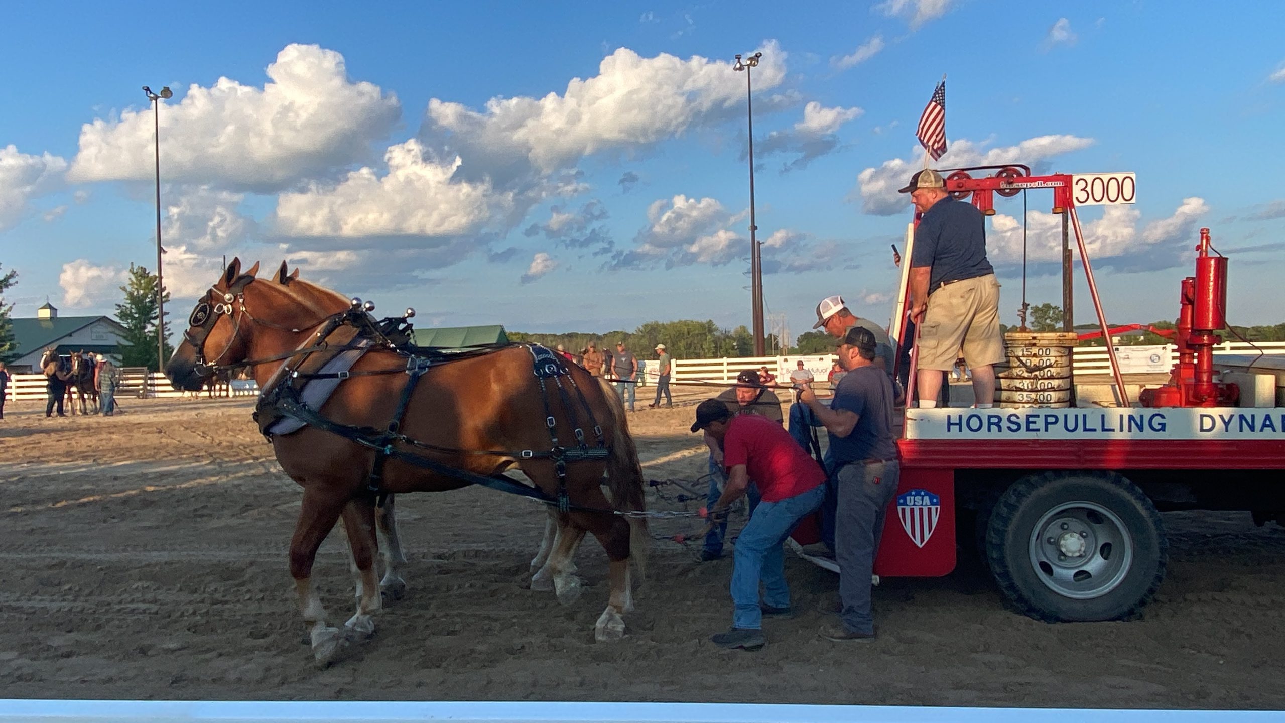 Draft horse pull