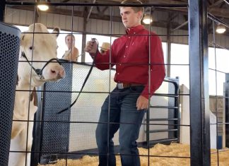 VIDEO | Record prices at Washington County Fair Jr. Livestock Auction livestock auction