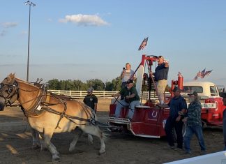 VIDEO | Large crowd in attendance for Draft Horse Pull at Washington County Fair Draft horse pull