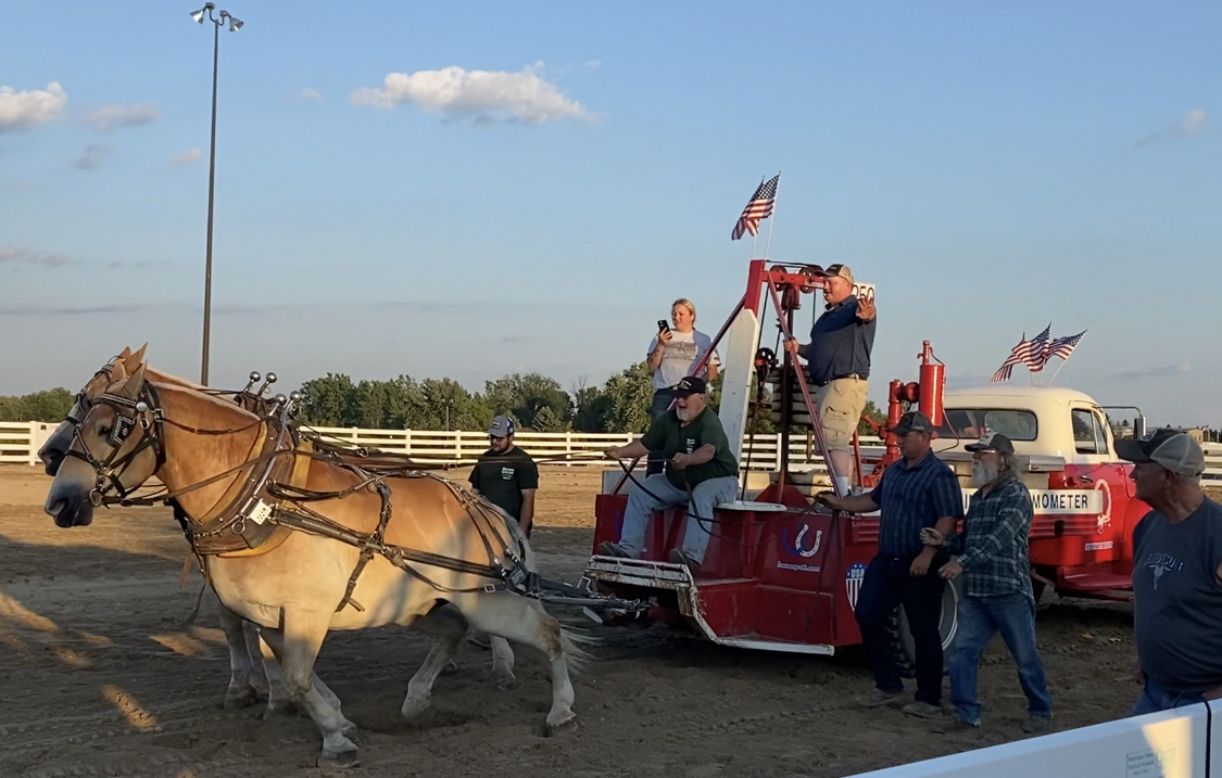 Draft horse pull