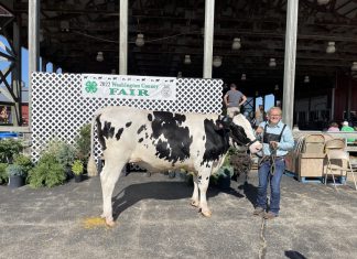 Thanks for supporting the Washington Co. Jr. Livestock Auction | By Ella Walecki