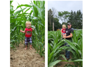 Submit your photos: Is your corn “Maxwell high” by the Fourth of July
