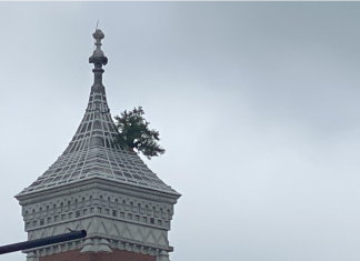 TheBiKeWriTer | Greensburg, IN and its famous tower tree – literally