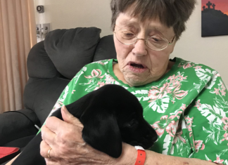 Cedar Community celebrates National Dog Day with canine cuddle pix