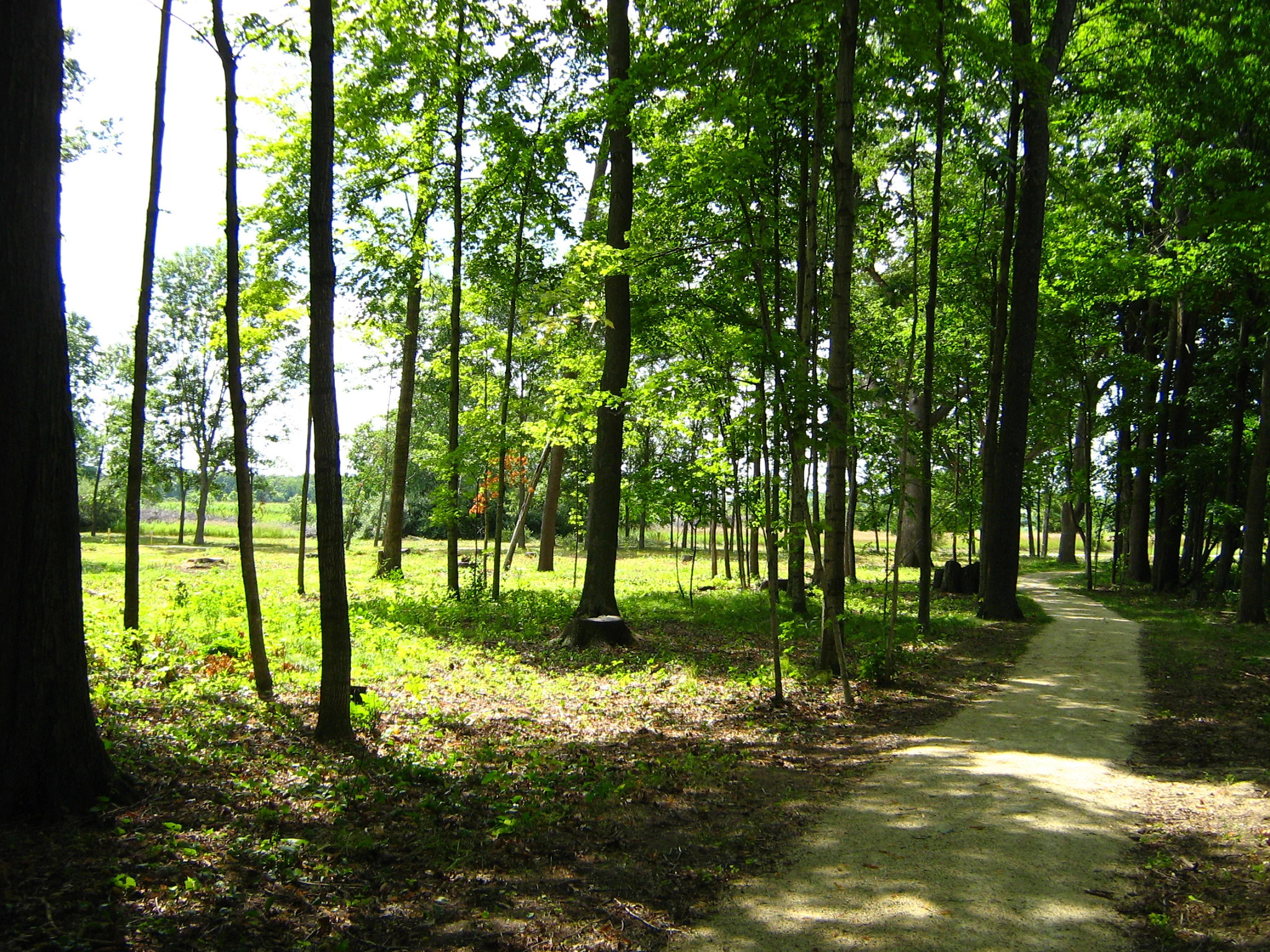 Lizard mound park