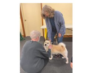Sharing Washington County pup photos to celebrate National Dog Day, August 24, 2022