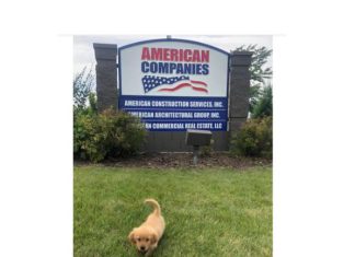 PHOTO GALLERY | American Companies corrals their canines to celebrate National Dog Day today