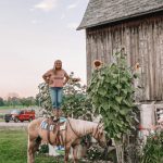 Annual Sunflower Challenge – submit your favorite photo
