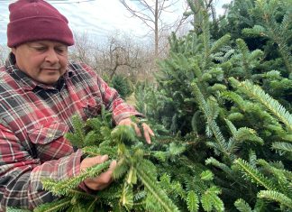 VIDEO | How to pick the ‘Best Christmas Tree’ at Meadowbrook Market and Tree Farm