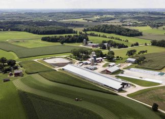 43rd Annual Dodge County Dairy Brunch is Sunday, June 4, 2023