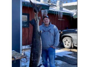 Harvest cap near on Upriver Lakes as 136.5 pound female sturgeon registered at Pipe, WI | By Wisconsin DNR