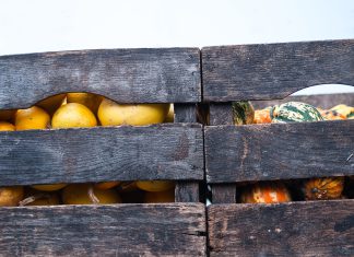 Witte’s Vegetable Market shares spring planting advise | By Tiffany Witte