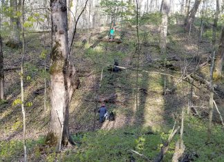 Friends of Kettle Moraine ask for help to save Haskell Noyes Woods | By Connie Ramthun