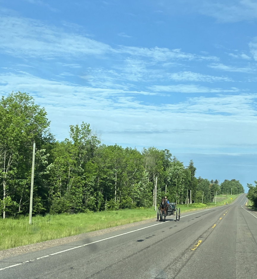 Amish buggy