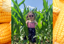 Submit your photo: Is your corn “knee high by the 4th of July?”