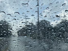 rain