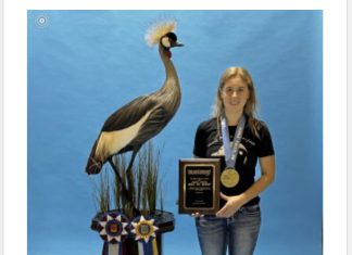 Hannah Stolz wins National Taxidermy Championships in Sioux Falls, South Dakota | By Dirk Stolz