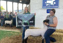 VIDEO | Do you remember the bidding war at the 2023 Washington County Fair Jr. Livestock Auction