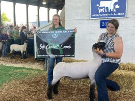 VIDEO | Do you remember the bidding war at the 2023 Washington County Fair Jr. Livestock Auction