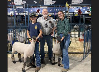 Thank you for supporting our lamb project | By Kate and Jack Dornacker