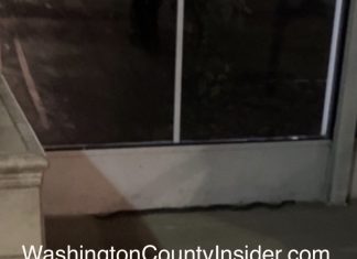VIDEO | Washington Co. Health Dept. investigates snakes reported at hotel in Germantown, WI