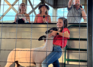 Market lamb goes for $25.00/lb; 4-H’er says “thank you” | By Katie/Kenna Boden